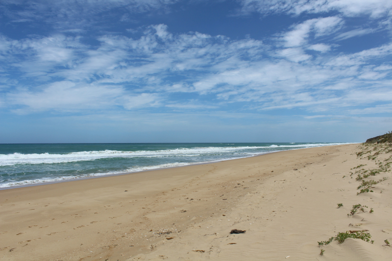 Illustration for article titled Australia's Most Beautiful Beaches !